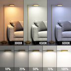 Floor Lamp 20W 1500lm Lamps for Living Room