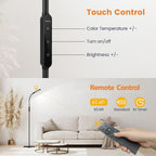 Floor Lamp Lamps for Living Room with Remote