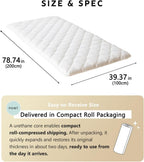 Floor Mattress Futon Classe Made in Japan Foldable