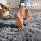 Fluffy High Pile Rugs Living Room Large Anti