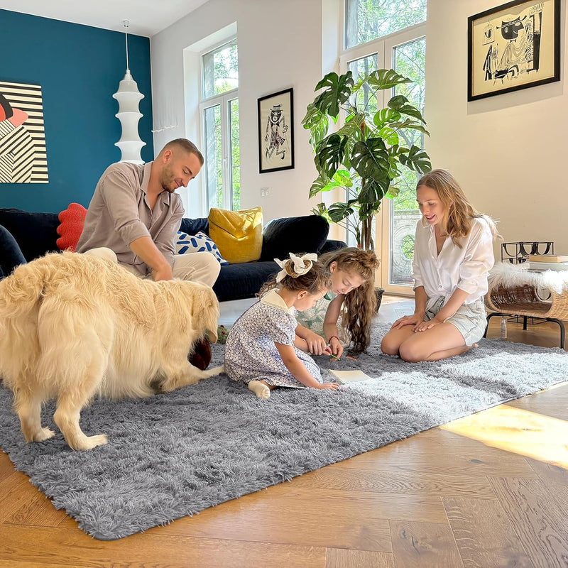 Fluffy High Pile Rugs Living Room Washable Large