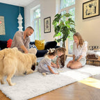 Fluffy High Pile Rugs Living Room Large Anti