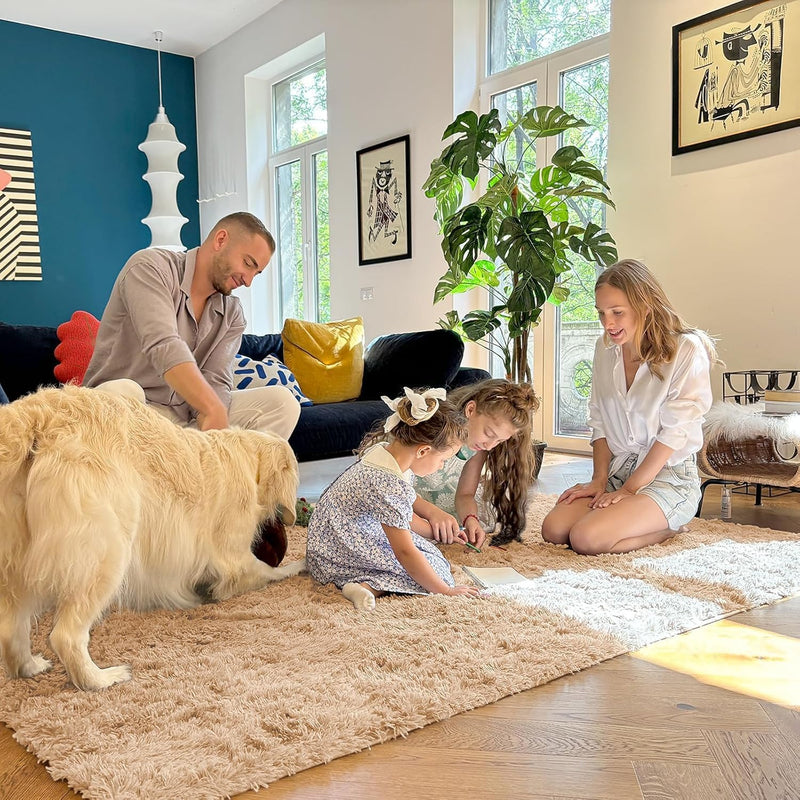 Fluffy High Pile Rugs Living Room Washable Large