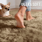 Fluffy High Pile Rugs Living Room Large Anti