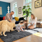 Fluffy High Pile Rugs Living Room Large Anti
