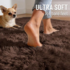 Fluffy High Pile Rugs Living Room Large Anti