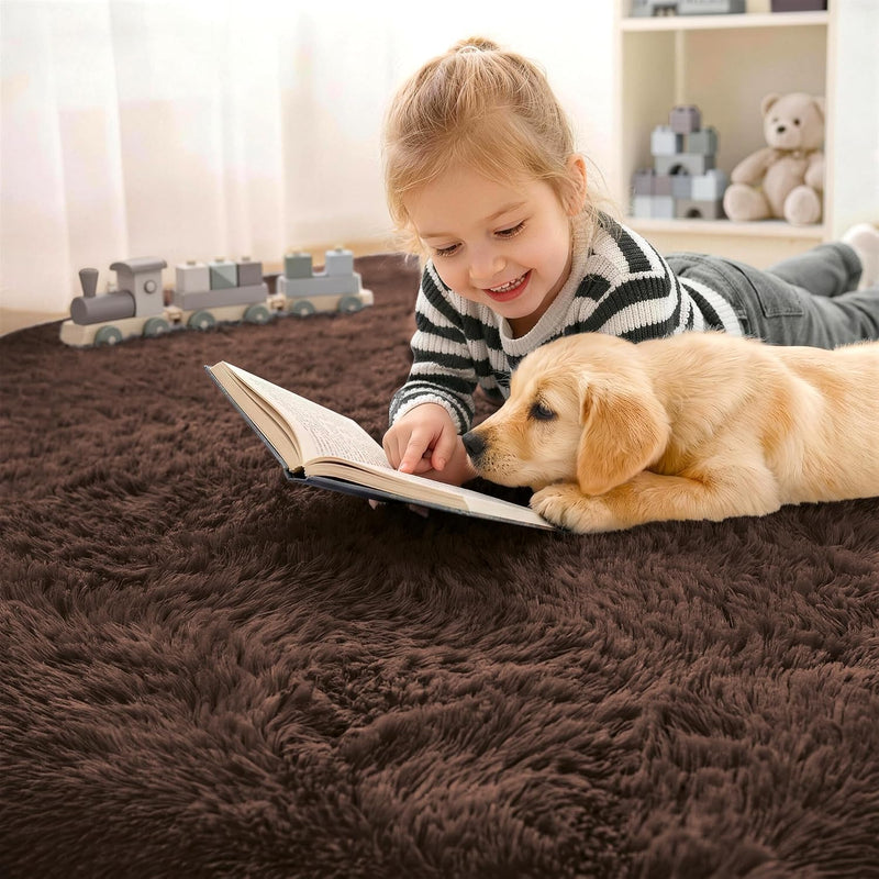 Fluffy High Pile Rugs Living Room Large Carpet