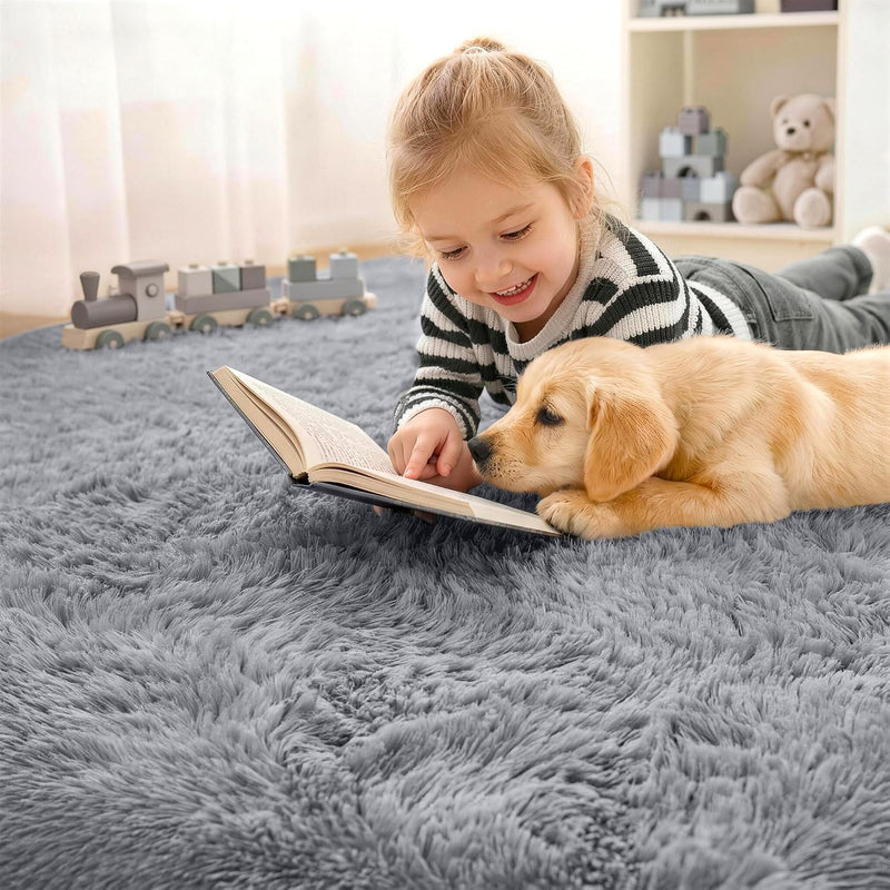 Fluffy High Pile Rugs Living Room Large Carpet