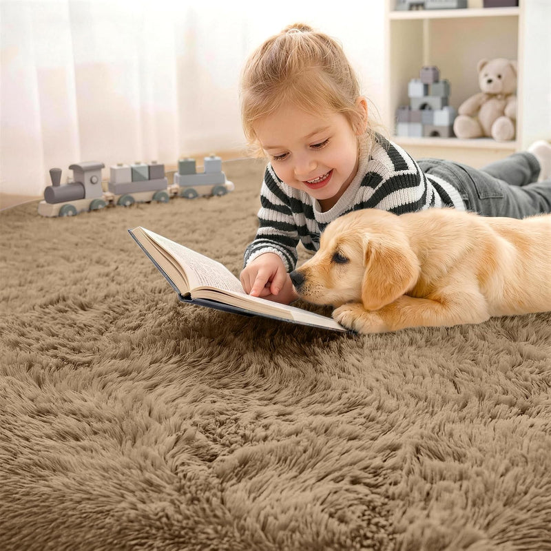 Fluffy High Pile Rugs Living Room Large Carpet