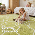 Fluffy Large Rugs Living Room