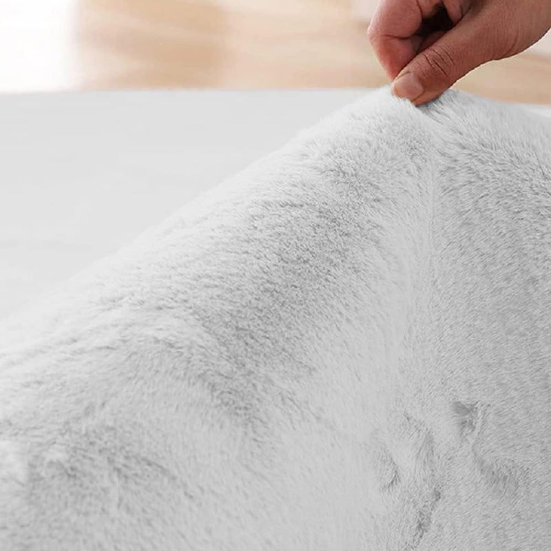 Fluffy Living Room Furry Rugs for Washable Shaggy
