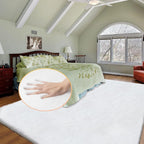 Fluffy Living Room Furry Rugs for Washable Shaggy