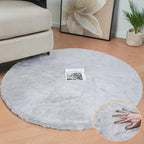 Fluffy Living Room Furry Rugs for Washable Shaggy