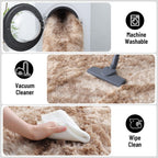 Fluffy Rugs Living Room Soft Large Carpet