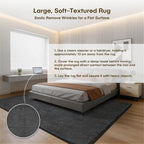 Fluffy Rugs Living Room Soft Shaggy Carpet