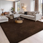 Fluffy Rugs Living Room Soft Shaggy Carpet