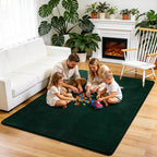 Fluffy Rugs Living Room Soft Shaggy Carpet