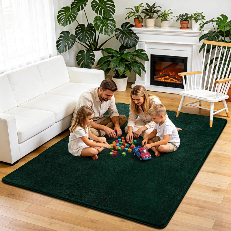 Fluffy Rugs Living Room Soft Shaggy Carpet