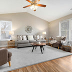 Fluffy Rugs Living Room Soft Shaggy Carpet