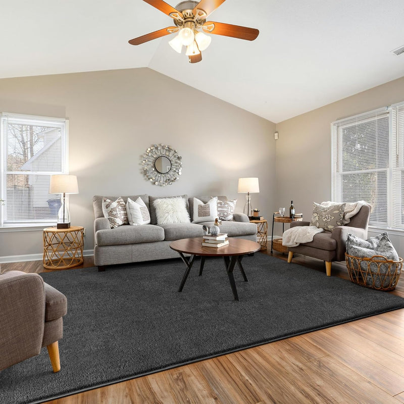 Fluffy Rugs Living Room Soft Shaggy Carpet
