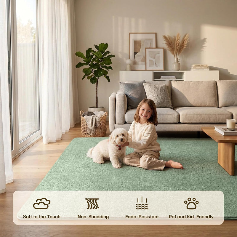 Fluffy Rugs Living Room Soft Shaggy Carpet
