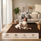 Fluffy Rugs Living Room Soft Shaggy Carpet