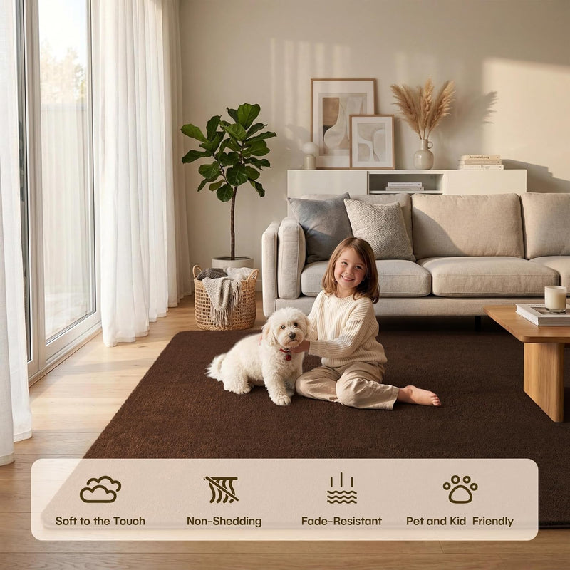 Fluffy Rugs Living Room Soft Shaggy Carpet