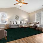 Fluffy Rugs Living Room Soft Shaggy Carpet