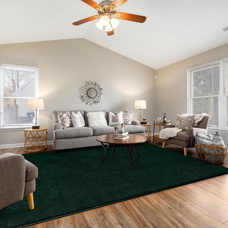 Fluffy Rugs Living Room Soft Shaggy Carpet