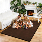 Fluffy Rugs Living Room Soft Shaggy Carpet