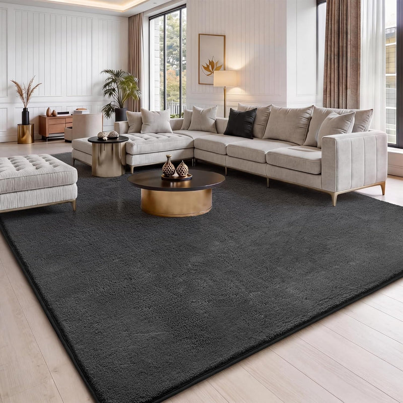 Fluffy Rugs Living Room Soft Shaggy Carpet