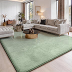 Fluffy Rugs Living Room Soft Shaggy Carpet