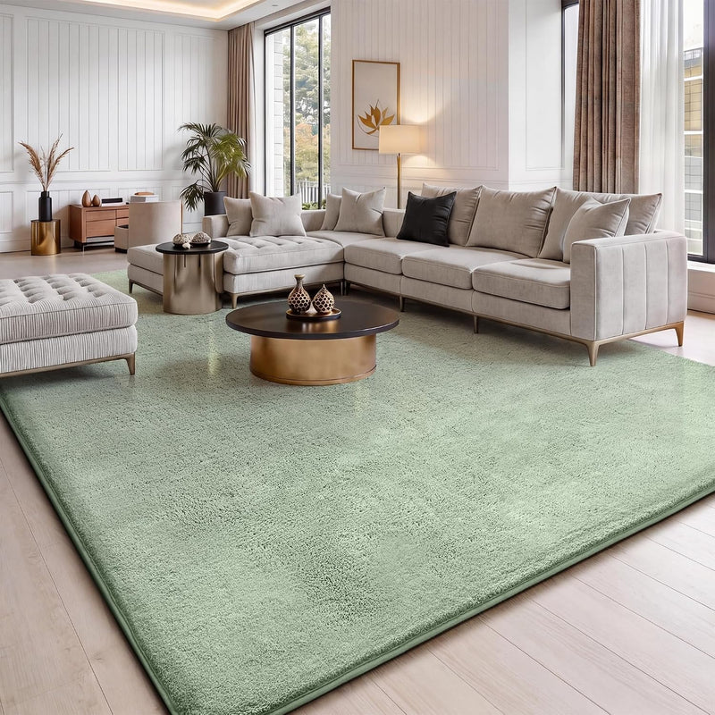 Fluffy Rugs Living Room Soft Shaggy Carpet