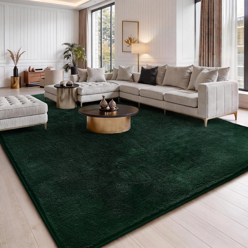 Fluffy Rugs Living Room Soft Shaggy Carpet