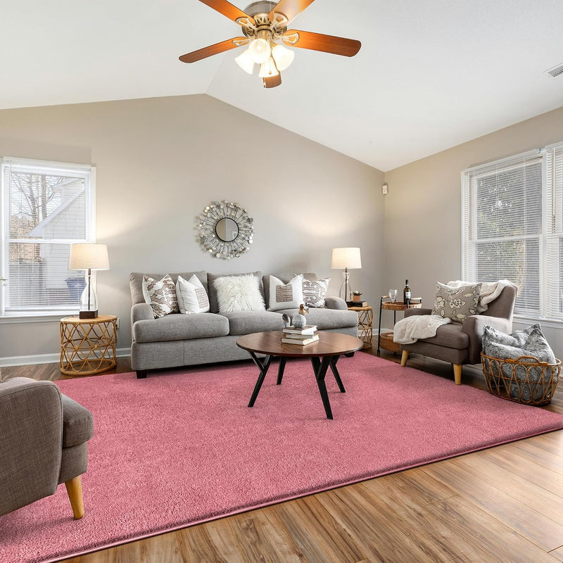 Fluffy Rugs Living Room Soft Shaggy Carpet