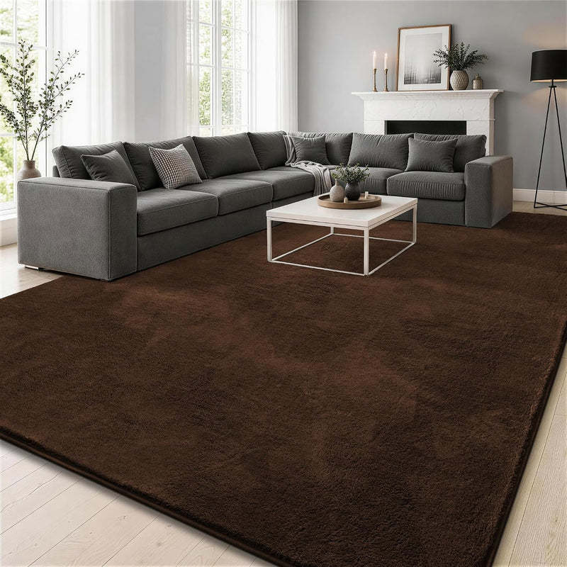 Fluffy Rugs Living Room Soft Shaggy Carpet