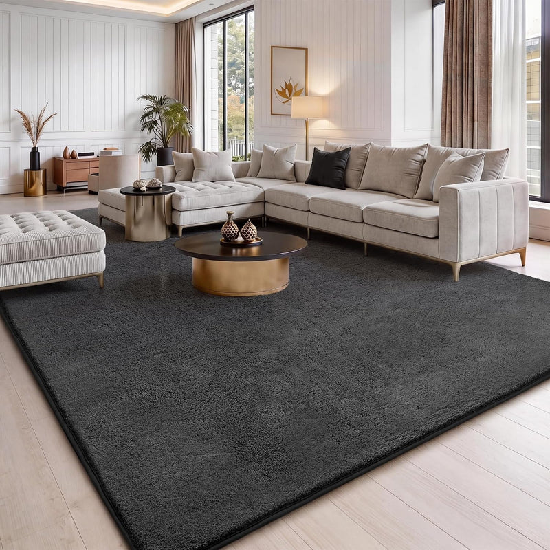 Fluffy Rugs Living Room Soft Shaggy Carpet