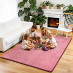 Fluffy Rugs Living Room Soft Shaggy Carpet