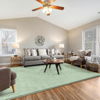 Fluffy Rugs Living Room Soft Shaggy Carpet