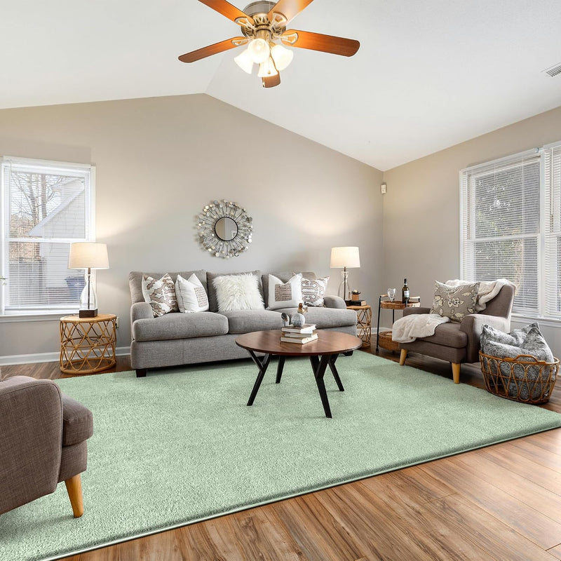 Fluffy Rugs Living Room Soft Shaggy Carpet