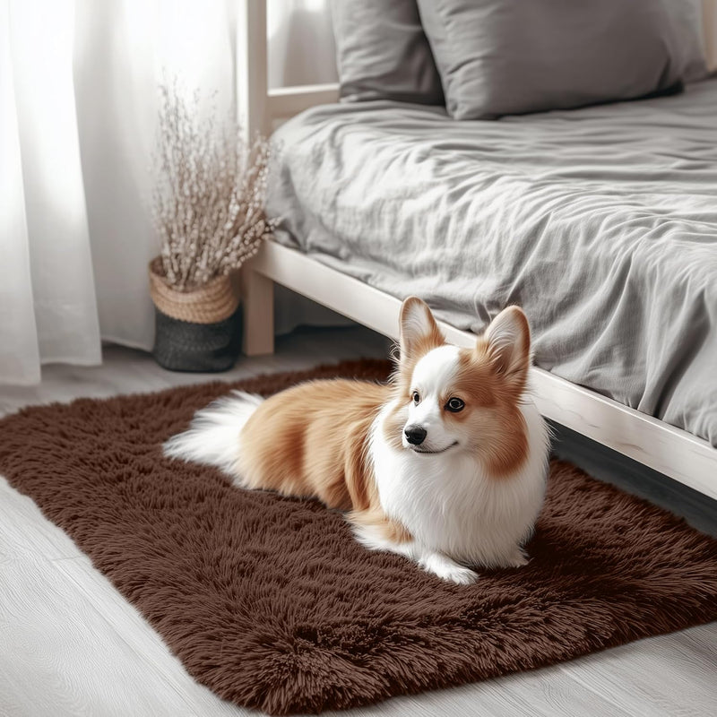 Fluffy Shaggy Rugs Living Room Large Anti Slip