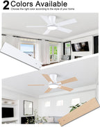 Flush Mount Ceiling Fan with Light