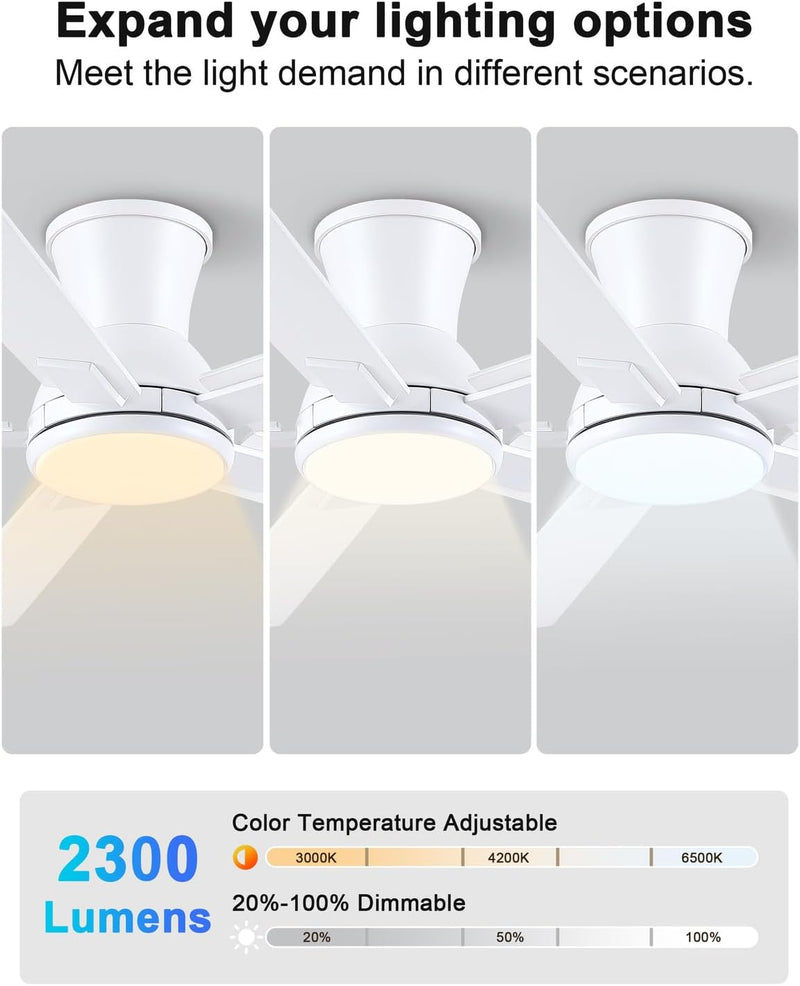 Flush Mount Ceiling Fan with Light