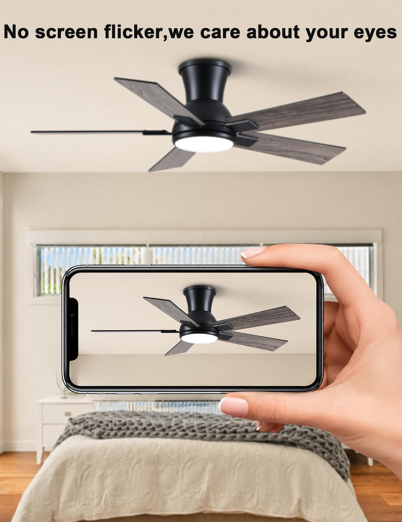 Flush Mount Ceiling Fan with Light