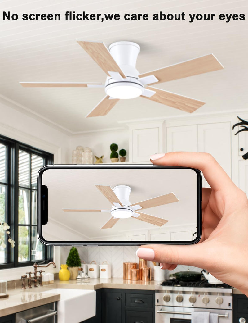 Flush Mount Ceiling Fan with Light