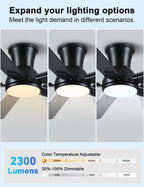 Flush Mount Ceiling Fan with Light