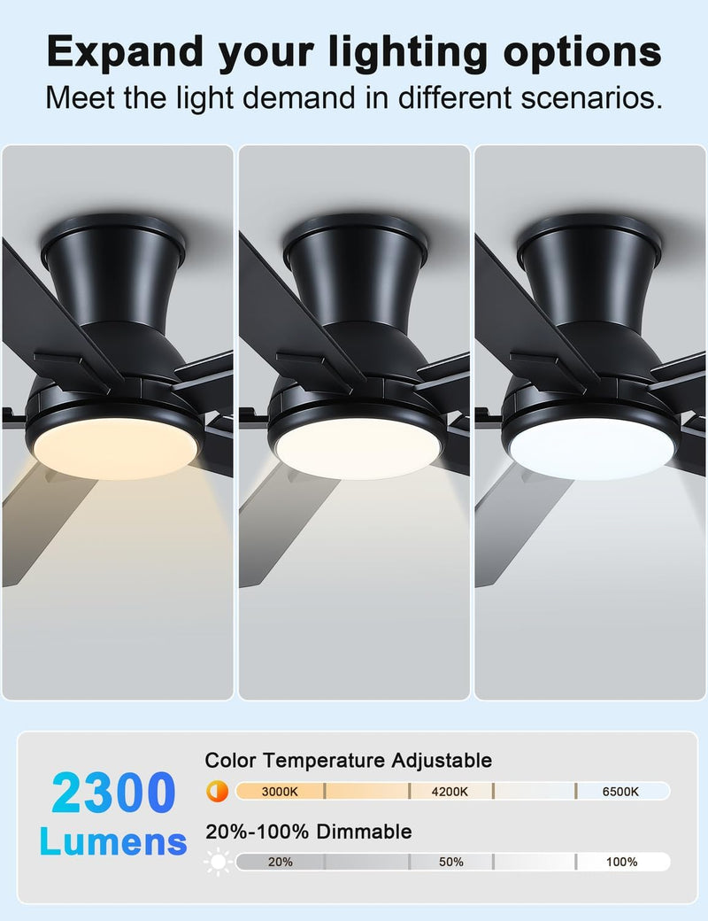 Flush Mount Ceiling Fan with Light