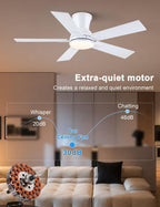 Flush Mount Ceiling Fan with Light