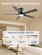 Flush Mount Ceiling Fan with Light