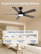 Flush Mount Ceiling Fan with Light